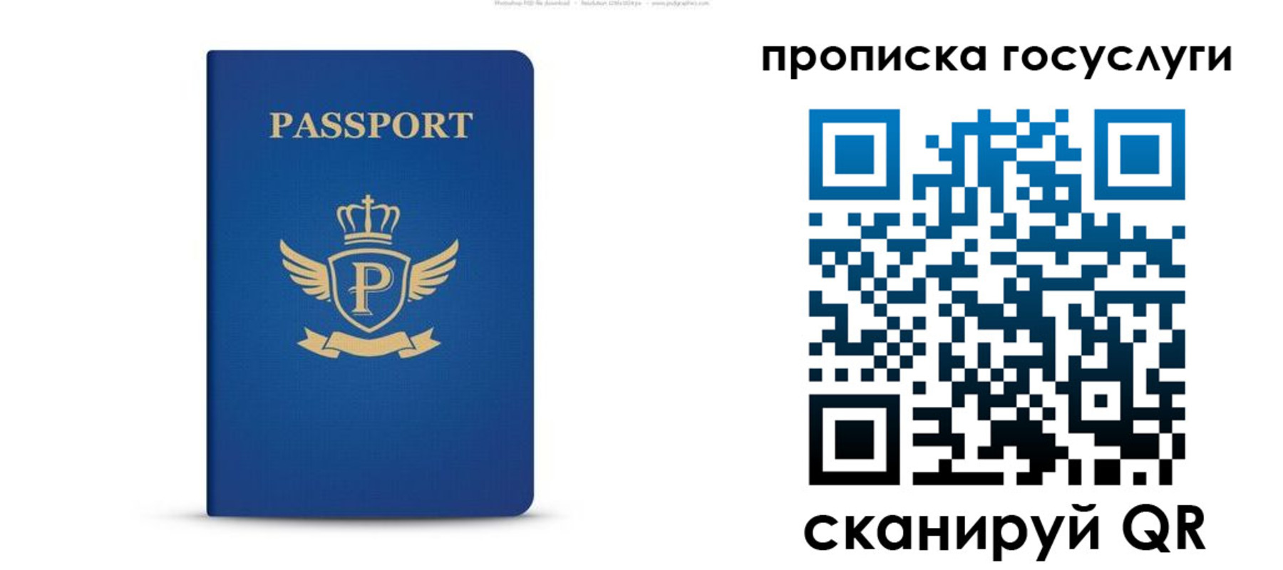 прописка для школы в Заозёрном
